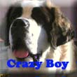 crazy_boy